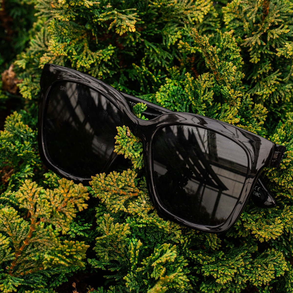 Azalea - Midnight Polarized – Shady Rays® | Polarized Sunglasses