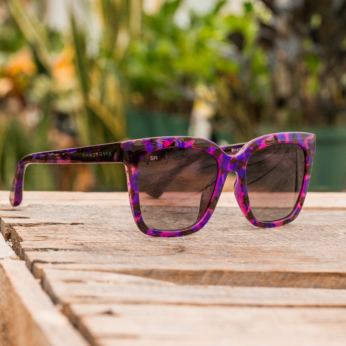 Azalea - Galaxy Tortoise Polarized – Shady Rays® | Polarized