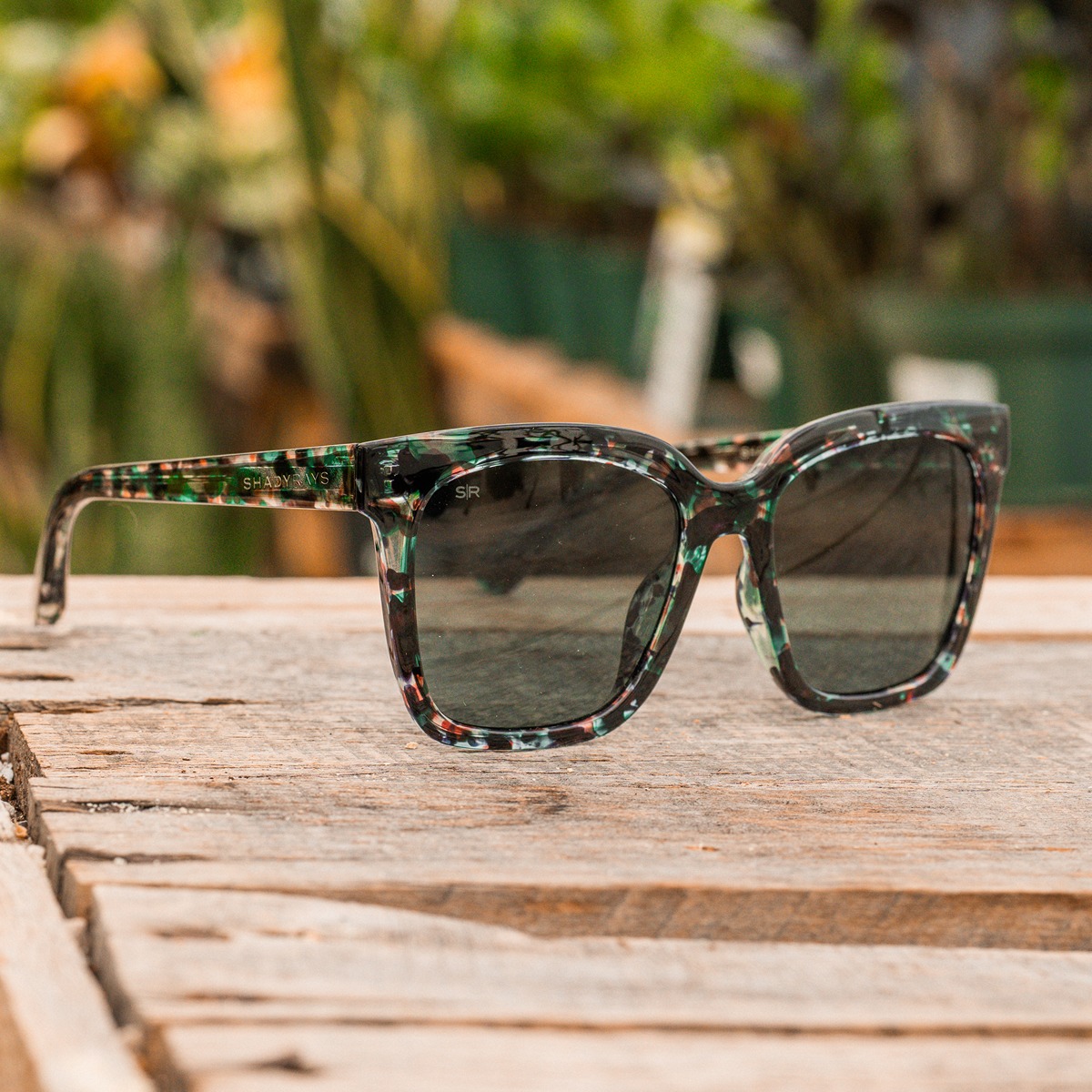 Azalea - Mint Chip Polarized – Shady Rays® | Polarized Sunglasses