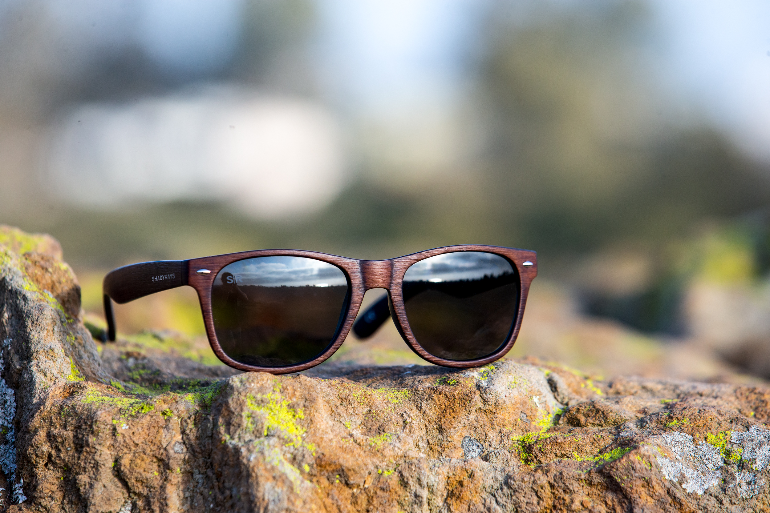 Shady Rays Classic - Deep Timber Polarized Sunglasses – Shady Rays