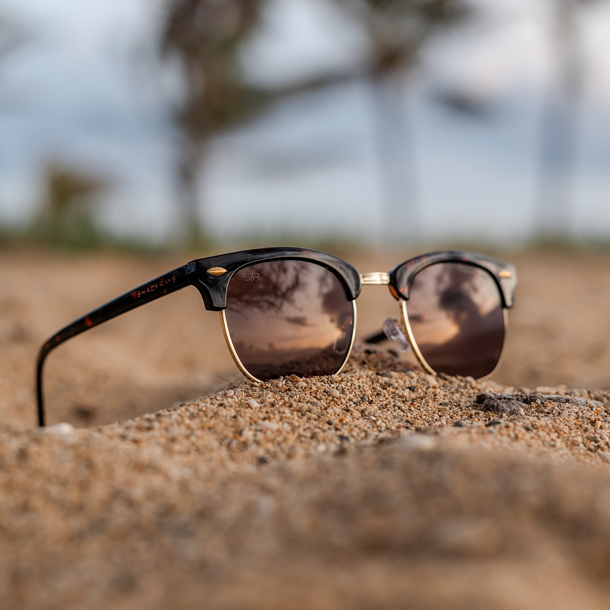 Shady Rays Classic - Oakmont Tortoise Polarized Sunglasses – Shady 